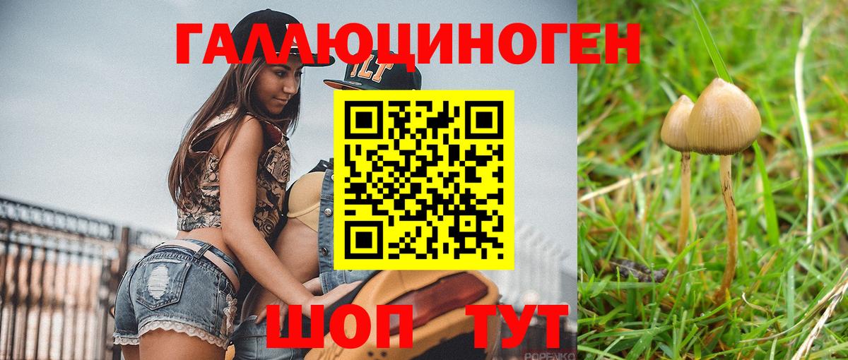 Галлюциногенные грибы мицелий  Галлюциногенные грибы GOLDEN TEACHER  Вход с VPN  Бийск 